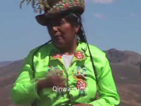 chimaycha patario TOQARWAYCHA