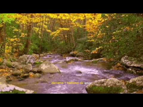 Batismo De Amor - Armando Filho