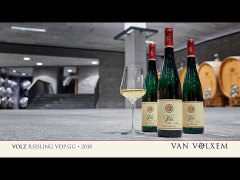 Van Volxem Volz Riesling VDP.GG 2018 - Probe