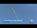 Redlands tree trimmer goes viral after wild palm tree ride | ABC7