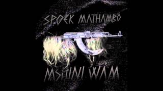 Spoek Mathambo - Control (BBE, 2010)