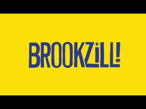 Welcome to BROOKZILL!