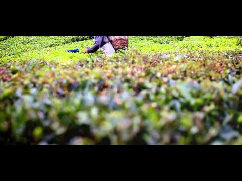 Al-Manna Lancar Muzik Video ZIKIR PAGI HARI