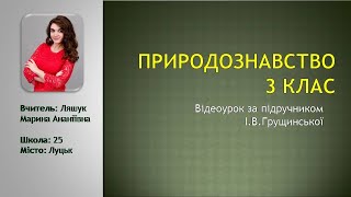 Природознавство