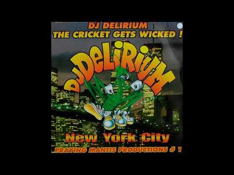 DJ Delirium - The Cricket Gets Wicked ! (12") 1996