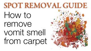 How to Remove Vomit Smell from Carpet | Spot Removal Guide