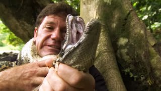 Strangled by a Boa Constrictor | Deadly 60 | Series 2 | BBC