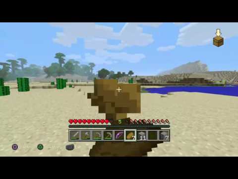 Jim plays Minecraft :)