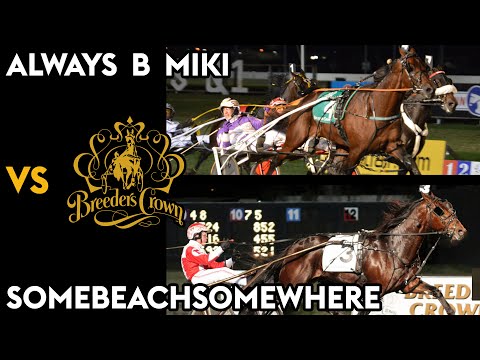 Always B Miki vs Somebeachsomewhere - The Bracket - Final 4