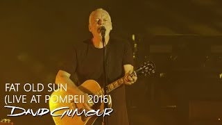 David Gilmour - Fat Old Sun (Live At Pompeii)