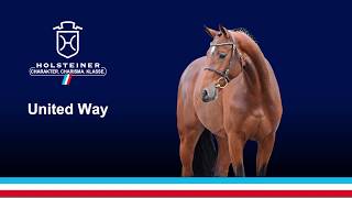 Video of United Way Hv