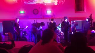 Skinned Lizard - Fish Biscuit (Splatterheads)