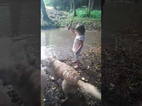 Majda otužilec a FIFA smečka dozorce 🤣