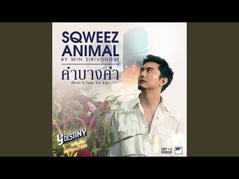 คำบางคำ (Remix by Funky Wah Wah From Y Destiny Series)