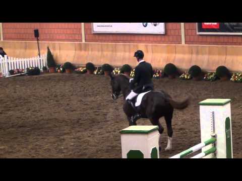 Dankeschön Stallion Show Wickrath 2015