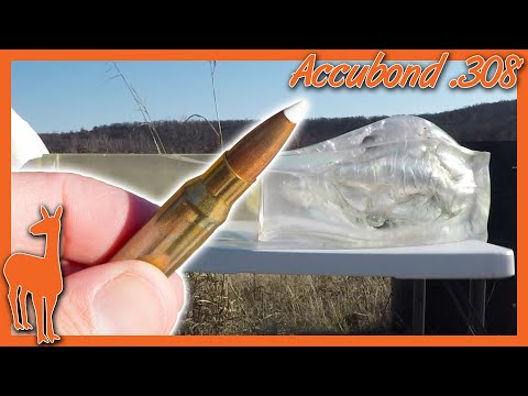 Nosler Accubond 308 Winchester Ballistics Gel Test 💥 100 Yards