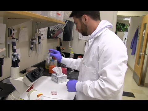 醫學科學--21世紀的職業選擇 (Medical Science--Career Choice for the 21st Century)