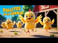 Salta Y Corre Con Los Pollitos Cancion Infantil Para Bailar
