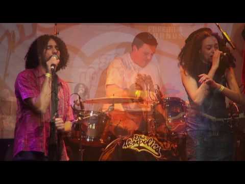 The Hempolics - 'Hurt So Good' (Live)