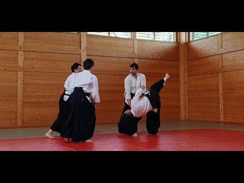 Aikido exam - Sandan, 3rd degree black belt - Budokan Wels, Austria, 2022
