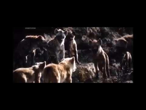 The Lion King 2019 movie clip Mufasa saves Simba and Nala scene