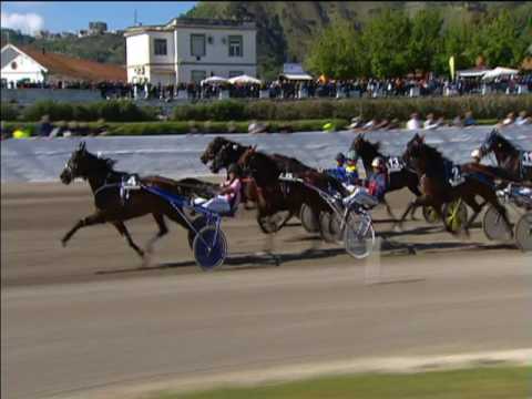 Trotto 01/05/2017 - 7ª corsa - consolazione