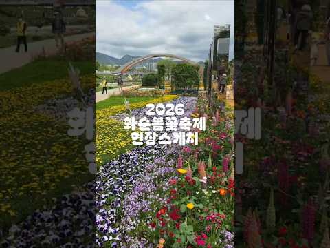 2026 화순봄꽃축제 현장스케치 #koreatravel #꽃강길 #화순축제
