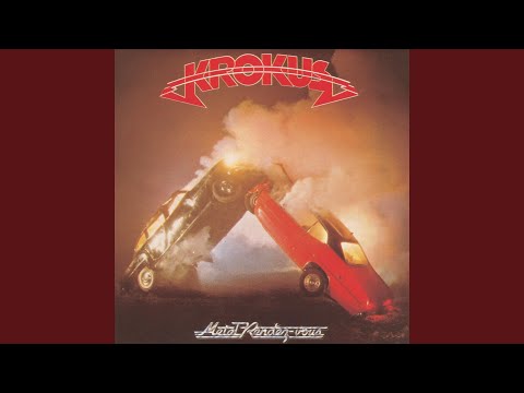 Shy Kid - Krokus