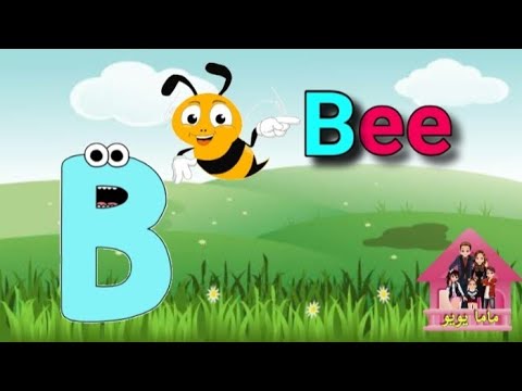 كلمات تبدا بحرف ال B