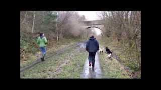 preview picture of video '4th Jan 2014   Pennine Trail Dog Walk'