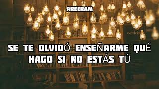 Me enseñaste - Ricardo Arjona - Lyrics / Letra