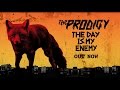 The Prodigy -The Day Is My Enemy OUT NOW 