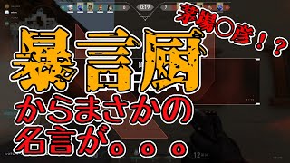 【VALORANT】野良の人にＳＡＯの名言で怒られた【暴言】
