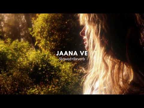 Jaana Ve Full Video Song - Aksar 2 | Arijit Singh,Mithoon | Zareen Khan,Abhinav | Bollywood Song