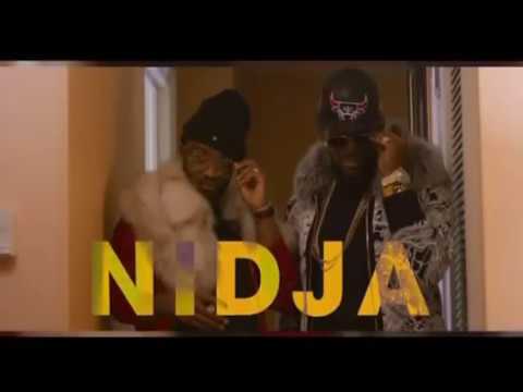 fally ipupa feat r kelly nidja extrait du clip