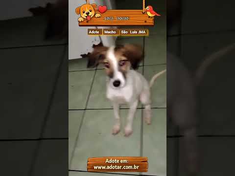 Vídeo de sem nome