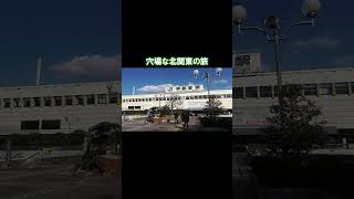 穴場な群馬・栃木の路線を乗ってみた #鉄道