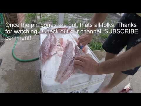 How to cut redfish SUPER EASY scales still on, perfect filets!
