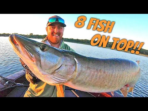 CRAZIEST TOPWATER ACTION EVER!!! 8 MUSKIE DAY!!