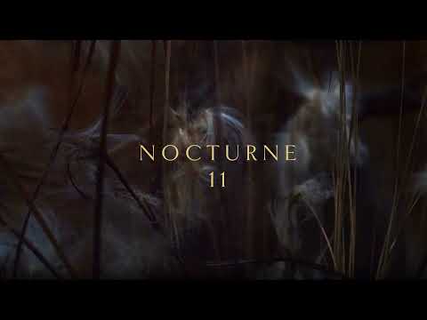 Craig Armstrong | Nocturne 11 (Official Video)