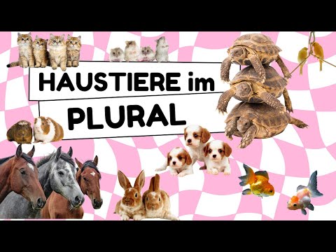 Haustiere SONG | Alle Haustiere im Plural LIED | Pets in German song | Mascotas en Alemán Canción