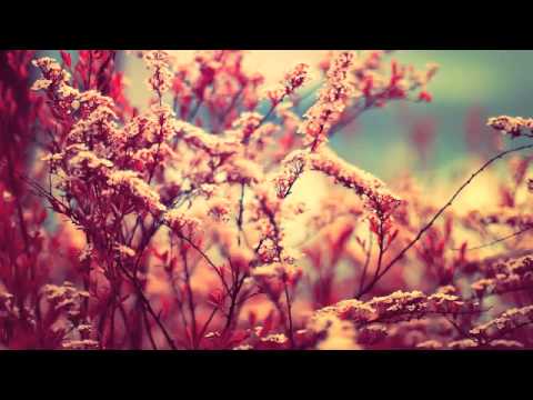 Where Have All The Flowers Gone? (Lasse Lyngbo Remix) - Speaker Bite Me