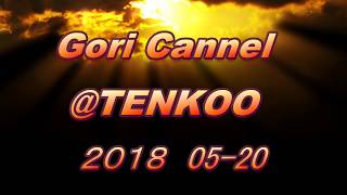 TENKOO#1