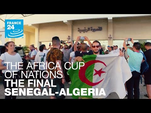 Africa Cup of Nations, Senegal - Algeria: the final!