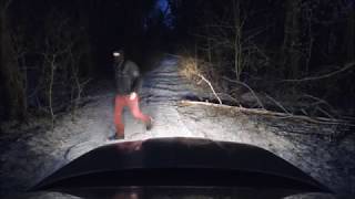 Why you shouldn't drive in the creepy  forest during full moon.