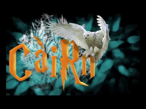 Groupe Càirn à la soirée de sortie du dernier  Harry Potter