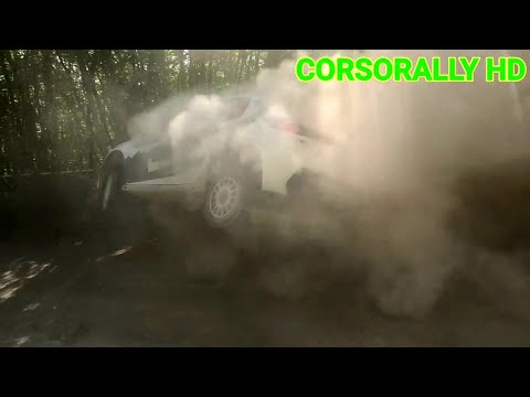 29° Rally Adriatico 2022 SHOW CRASH & MISTAKES
