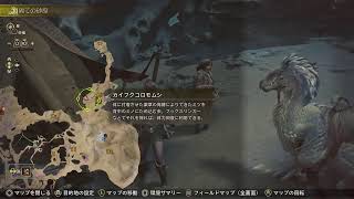 モンハンワイルズベータテストPS5