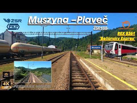 4K Cabview ► 🇵🇱 Muszyna - Plaveč / ŽSR 188 / REX8361 / 813.1 ► Medzinárodný REX z Muszyny