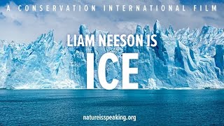 Liam Neeson is ICE